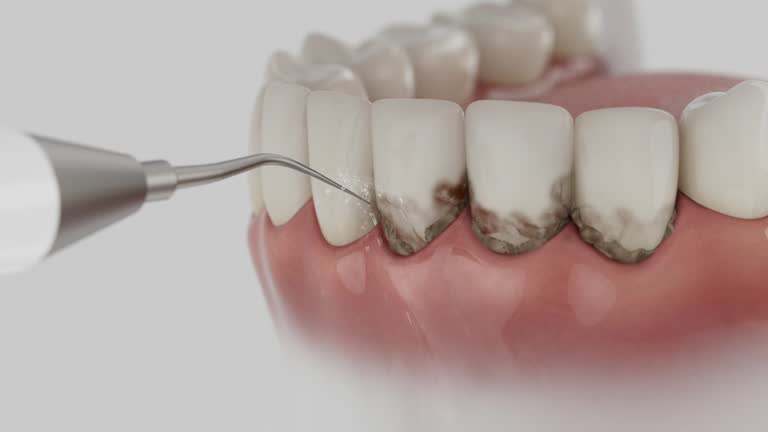 Reliable Dental contractor in Marysville, MI by Dentist Open Now